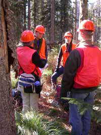 crew in forest