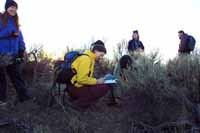 Pygmy rabbit search and rescue trip