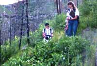 Exploration of Tyee Fire Origin - Susan and Phyllis