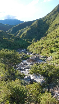 sierra de famatina stream