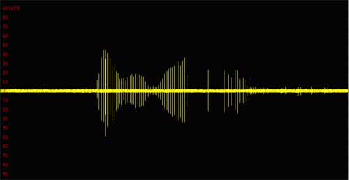 Porpoise acuostic signal