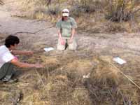 field crew grass plot