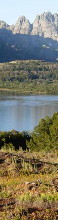 Wildland in Argentina - Lagunas de Epulafquen