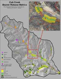 Beaver relocation priority release site map