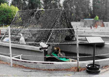 Beaver relocation storage facility 