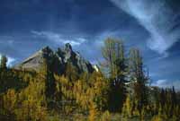 Methow River Headwaters - the Wisdom Tooth