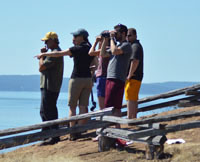 volunteers observing porpoises