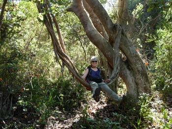 AileenSwingingOnVine_ZapallarForests20008feb22