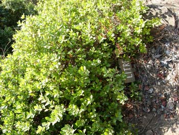 DSCN3686