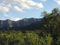 sierra de famatina