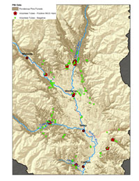 squirrel locations map