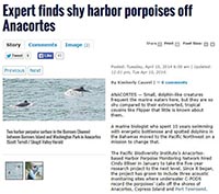 harbor porpoise article