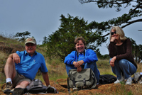 harbor porpoise observers