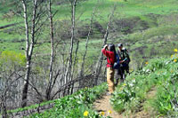 volunteers doing bird count survey