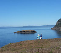 Observing porpoises from Rosario Head