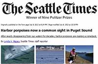 Seattle Times Harbor Porpoise story
