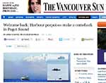 Harbor Porpoise in Vancouver Sun