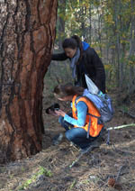 squirrel fieldwork