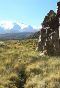 Exploring stream valley in Andean highlands