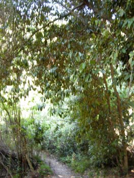 DSCN3694